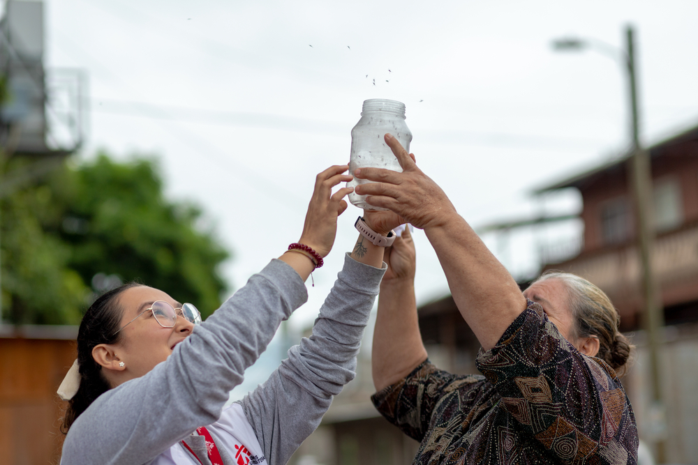 Mitarbeitende von Ärzte ohne Grenzen lassen in Honduras Moskitos mit dem Wolbachia-Bakterium frei.