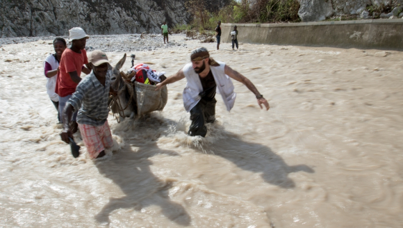Nach dem Hurrikane Matthew in Haiti dienen Esel als Transportmittel