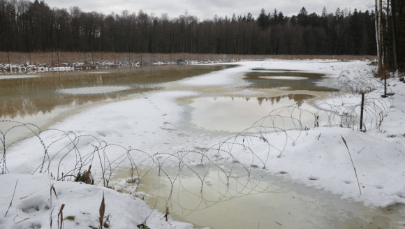 Grenze zwischen Polen Belarus in Natur Stacheldraht