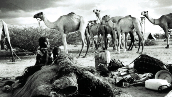 Zwischen 1991 und 1993 flohen rund 300.000 Somalier über die Landesgrenze nach Kenia.