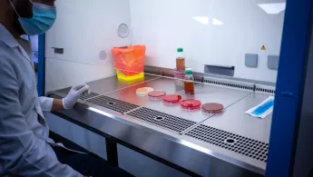 Bakterienkulturen im Labor in Amman In Amman beobachtet ein Labormitarbeiter Bakterienkulturen im Krankenhaus für rekonstruktive Chirurgie von Ärzte ohne Grenzen.