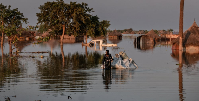 Schwere Überschwemmungen im Südsudan zerstörten Lebensgrundlagen Schwere Überschwemmungen im Südsudan zerstörten Lebensgrundlagen