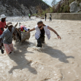 Nach dem Hurrikane Matthew in Haiti dienen Esel als Transportmittel