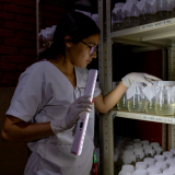 Honduras: Prävention von Dengue-Fieber