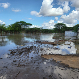 Überflutete Landschaft in Kenia