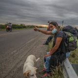 Junge Frau mit Hund hält am Straßenrand den Daumen raus