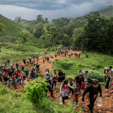 Migrant*innen im  Darién-Dschungel auf der Durchreise in Ecuador, Kolumbien und Panama