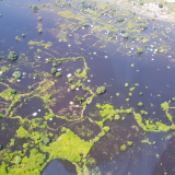On an aerial assessment from Bor to Pibor, areas can be seen completely submerged by flooding.