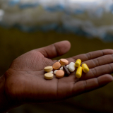 Medikamente gegen multiresistente Tuberkulose